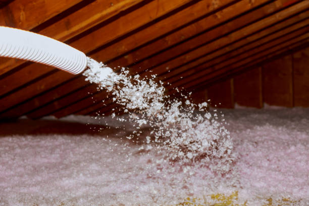 Best Attic Insulation Installation  in Lamar, CO